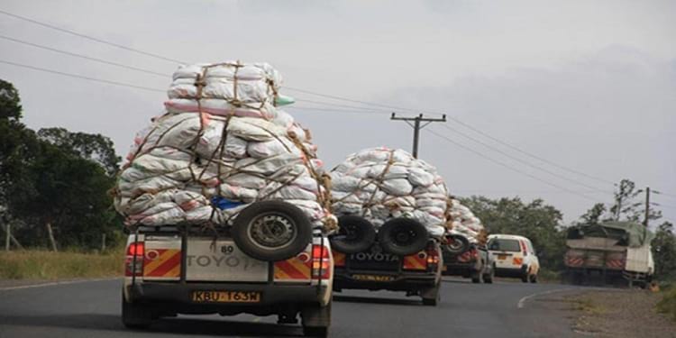 شاحانات قات كينية متجهة إلى الصومال