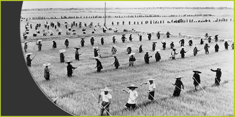 اجتثاث المزارعين من أراضيهم ونقلهم إلى المصانع كان أحد أسباب المجاعة الصينية