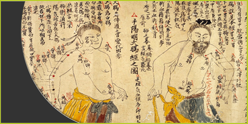 مخطوطات تشرح تركيب الجسم البشري وفقاً للطب الصيني