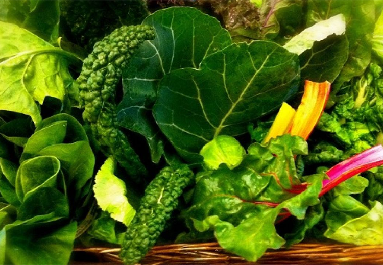 تمتلئ الخضروات الورقية بالعناصر الغذائية والألياف، وقد ربطت بعض الأدلة القوية بينها وبين التدهور المعرفي البطيء المرتبط بالعمر.