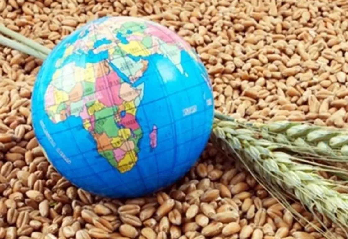 كيف يتعايش العالم مع أزمة الغذاء؟ ومتى يتجاوزها؟