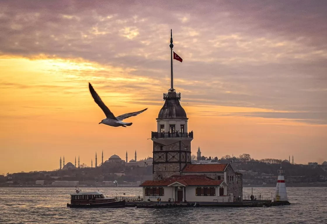  دراسة توضح حجم هجرة الشباب من تركيا