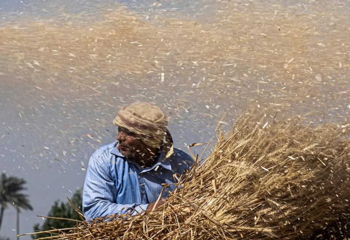 مشروع لتطوير قطاع الزراعة بمصر... كيف يجد حلولاً للأزمة الاقتصادية؟