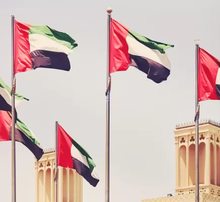 أبرز المساعدات التي قدمتها الإمارات للنازحين السودانيين في تشاد وللمجتمع المحلي