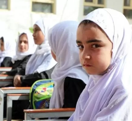 طالبان تعتقل ناشطاً بارزاً في مجال تعليم الفتيات بكابل... تفاصيل